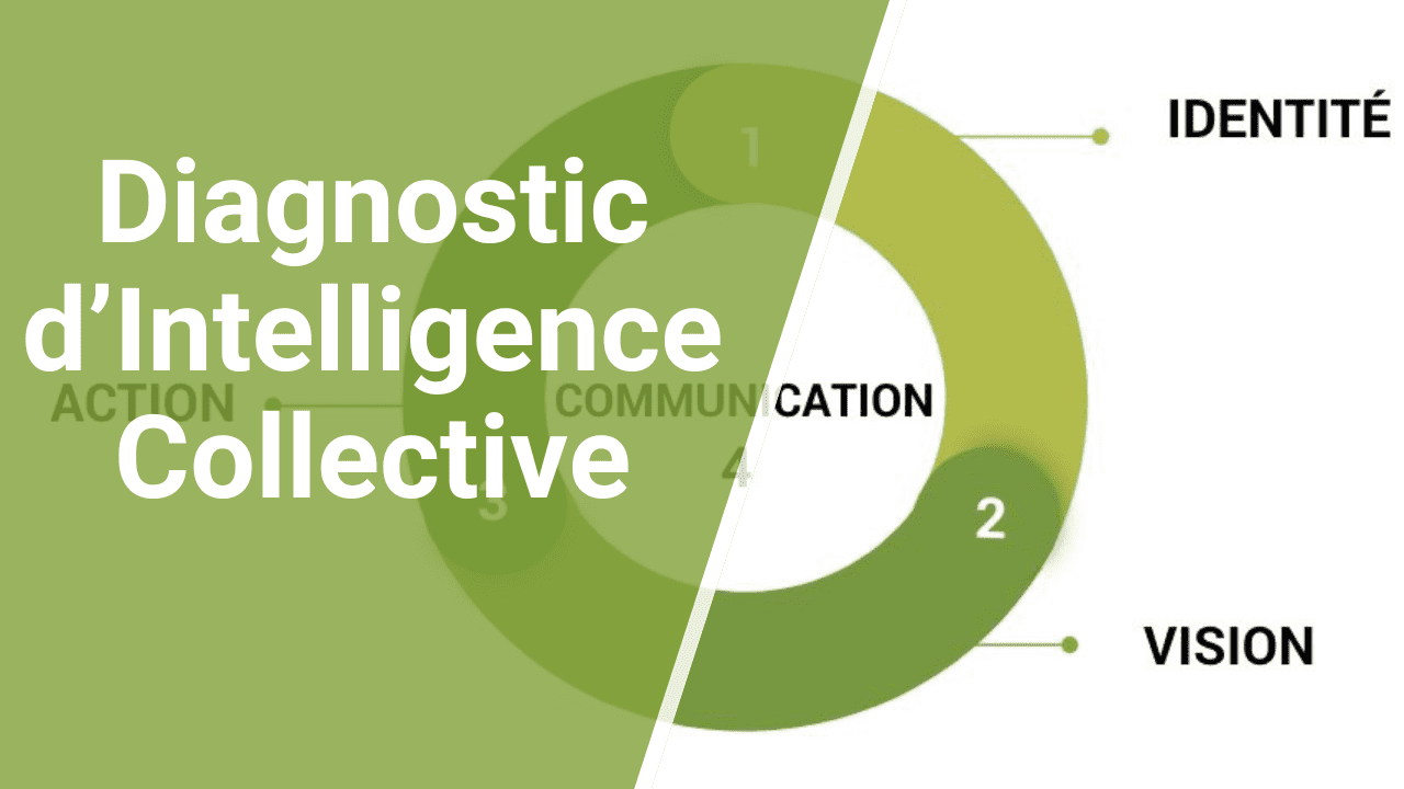 Diagnostic Intelligence Collective